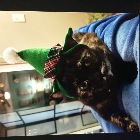 Meet your Posher, Malgorzata - Picture 1 of 1